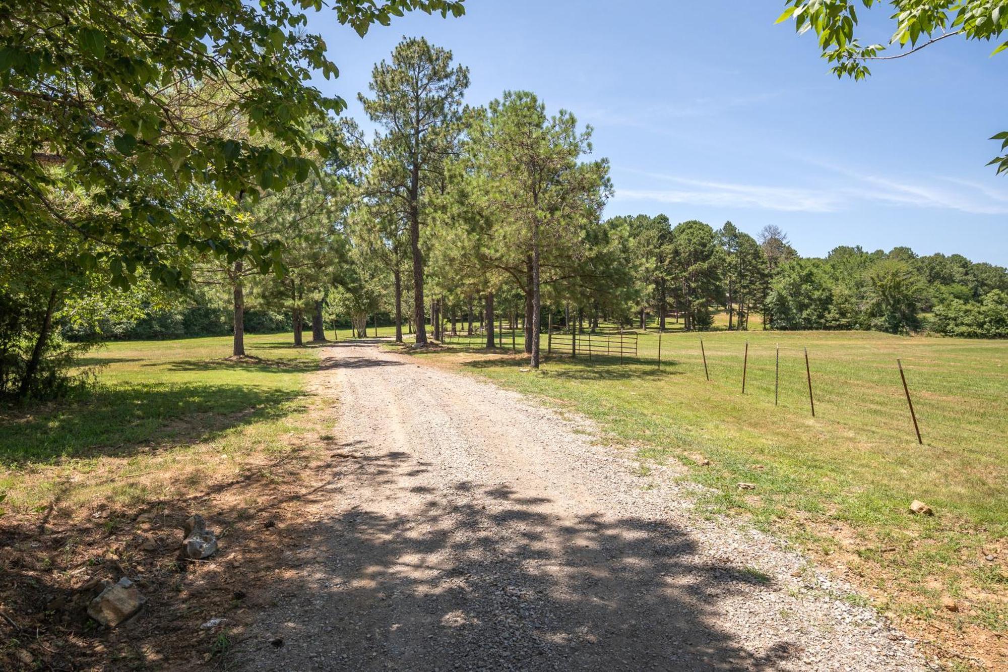 Spring Hill Farm - The Happy Hound Villa Alma Exterior photo